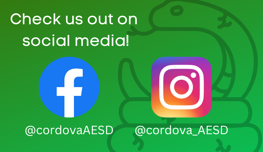  Check us out on social media!